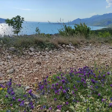 Restoran Bartol ゲストハウス 4*