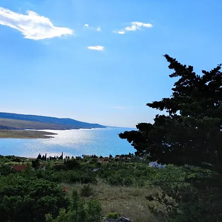 Гостевой дом Restoran Bartol 4*